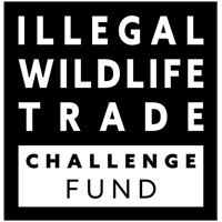 IWT Challenge Fund